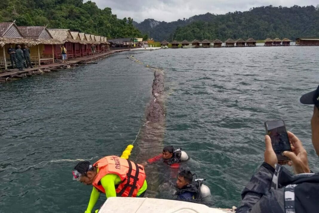 edb980cba211ded267a1290b05e0ea3fc4037882da69b7acca360d437ce8bdd5