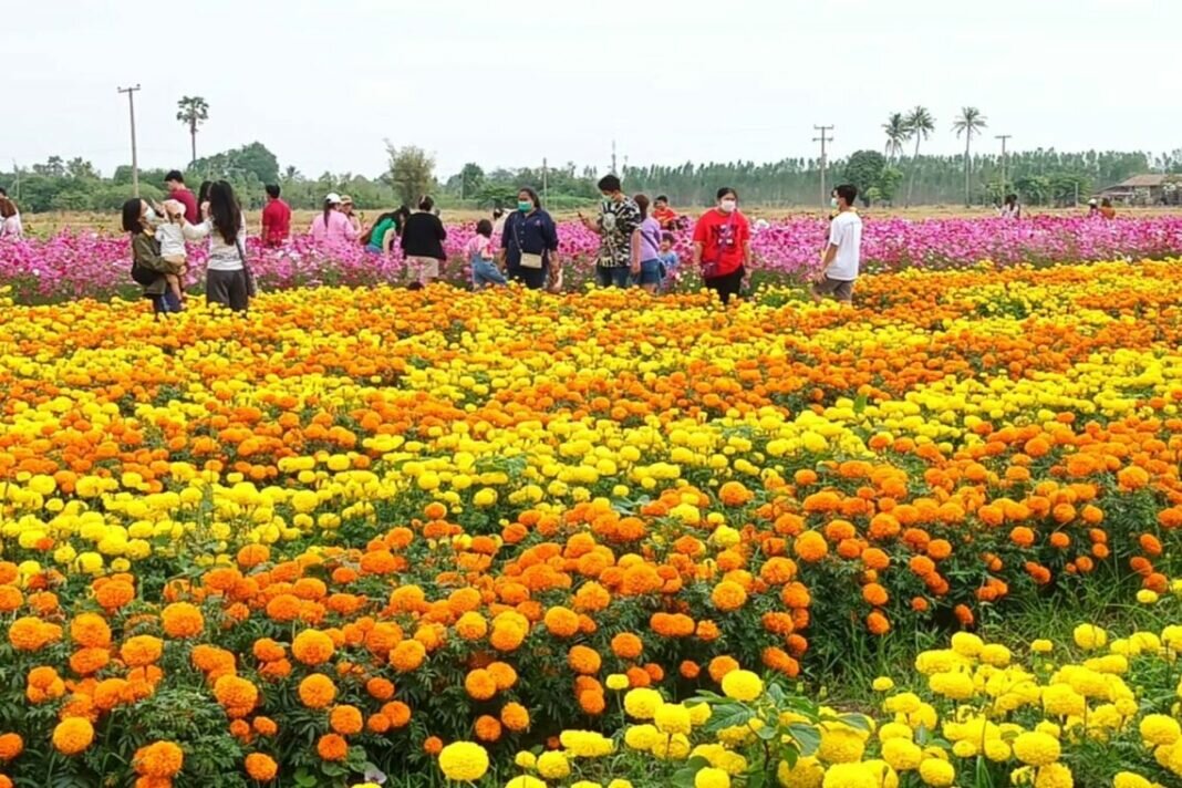 ce3df39f228f8d7f1ed13f491d6d3a1bb7c3f2c6165b5a179d2d1fb492e6a033