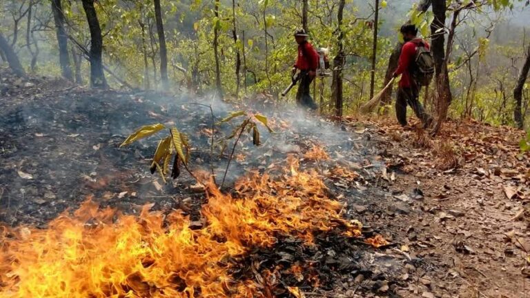 Northern Provinces Ordered to Stop Burning Activity to Address PM2.5 Pollution