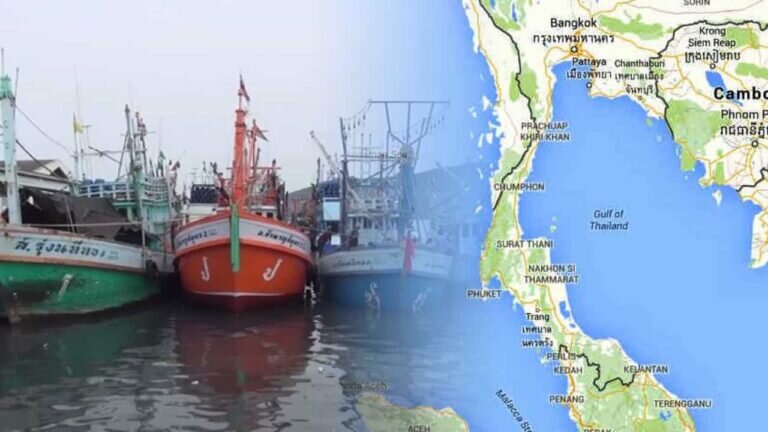 Sustainable Fisheries: Gulf Closure Yields Positive Outcomes