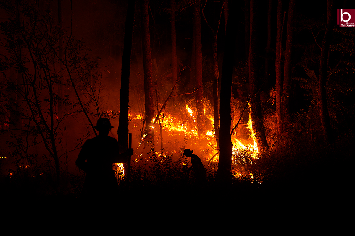 DNP Implements Stricter Measures to Combat Forest Fires and Haze Crisis